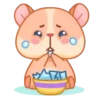 Hámster 2 🐹 MOV. 🇲🇽 29