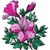FLORES BONITAS 26