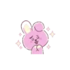BT21 13