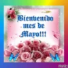 ? Bienvenido Mayo ? 21