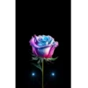 🌷ᑲeᥲᥙtіfᥙᥣ fᥣ᥆ᥕers 💐 25