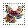 Mariposas🦋4🇨🇷Movi 28