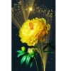 🌷ᑲeᥲᥙtіfᥙᥣ fᥣ᥆ᥕers 💐 28