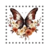 Mariposas🦋4🇨🇷Movi 29