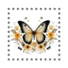 Mariposas🦋4🇨🇷Movi 30