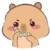 🤎Capibara 1 MOV.🤎 24