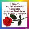?⛑️ Día del trabajador ?? 29