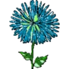 FLORES BONITAS 30