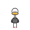 Ostrich 2 💖MOV 24