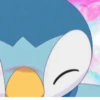 Pokemon 17