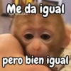 Monos changos graciosos 🐒🐵 12