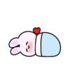 Mini rabbit mov 6