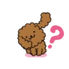 Dog 🐕🐾 7