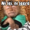 Monos changos graciosos 🐒🐵 16
