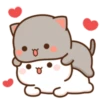 kitty? 6