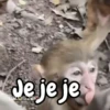 Monos changos graciosos 🐒🐵 18