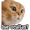 ⚠ Gatito Tóxico ☣️⚠️ 5