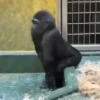 🎵 TIKTOKeando 34🎵 5