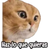 ⚠ Gatito Tóxico ☣️⚠️ 7