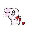 Mini rabbit mov 8