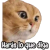 ⚠ Gatito Tóxico ☣️⚠️ 9