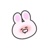 Mini rabbit mov 9