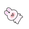 Mini rabbit mov 10