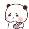 Panda tantrum 10