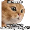 ⚠ Gatito Tóxico ☣️⚠️ 11