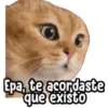 ⚠ Gatito Tóxico ☣️⚠️ 12