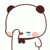 Panda tantrum 8