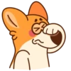 Chpic.su • | Коржик 5
