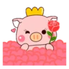 Cute little pig🐖2🇲🇽Movi 7