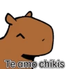 capibara cute 😎 5