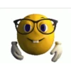 Hiper yellow-guy Reaction 5