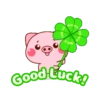 Cute little pig🐖2🇲🇽Movi 8