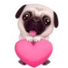 Pug emoji 1 mov 5