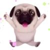 Pug emoji 2 mov 6