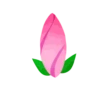 Flowers- @cocopry 6