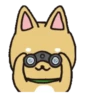 Dog 🐕🐾 10