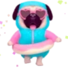 Pug emoji 1 mov 6