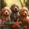 Perritos 2Guau Guau 6