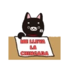 Dog 🐕🐾 11