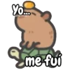 Capibara lindo 🦫 5