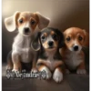 Perritos 2Guau Guau 8