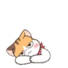 Fun kitten mov 6
