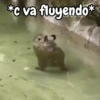 🦫 Capibara reactions 🦫 8