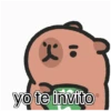 capibara cute 😎 6