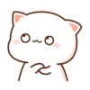 kitty? 13