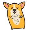 Animated Animals part 2 15